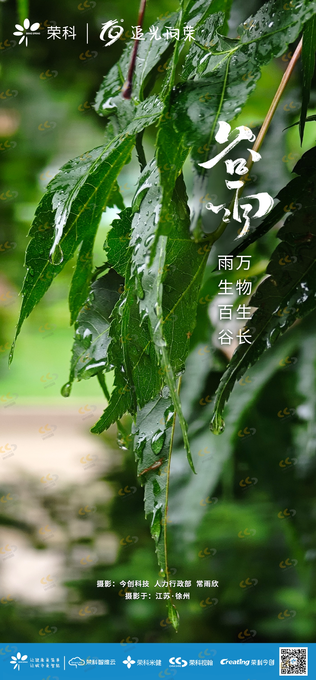 今日谷雨  雨生百谷 萬物生長 .png